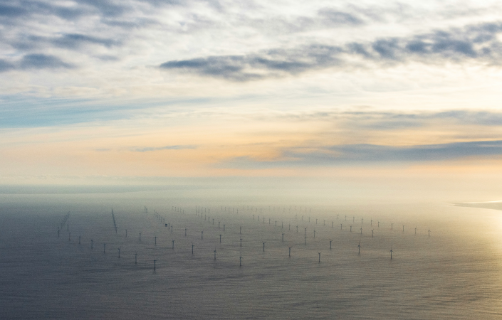 OUR INVESTMENTS Image